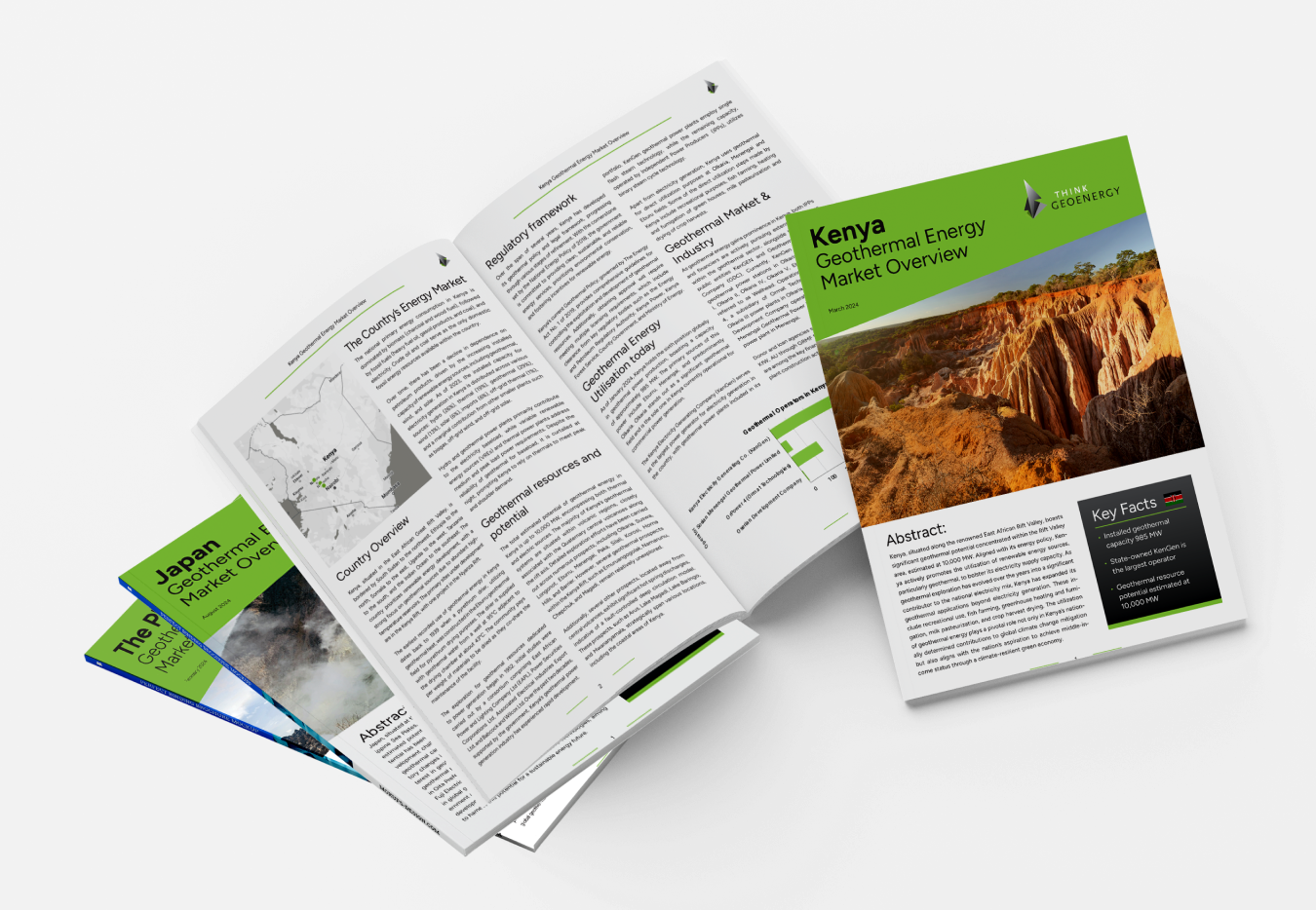 Geothermal country overview reports