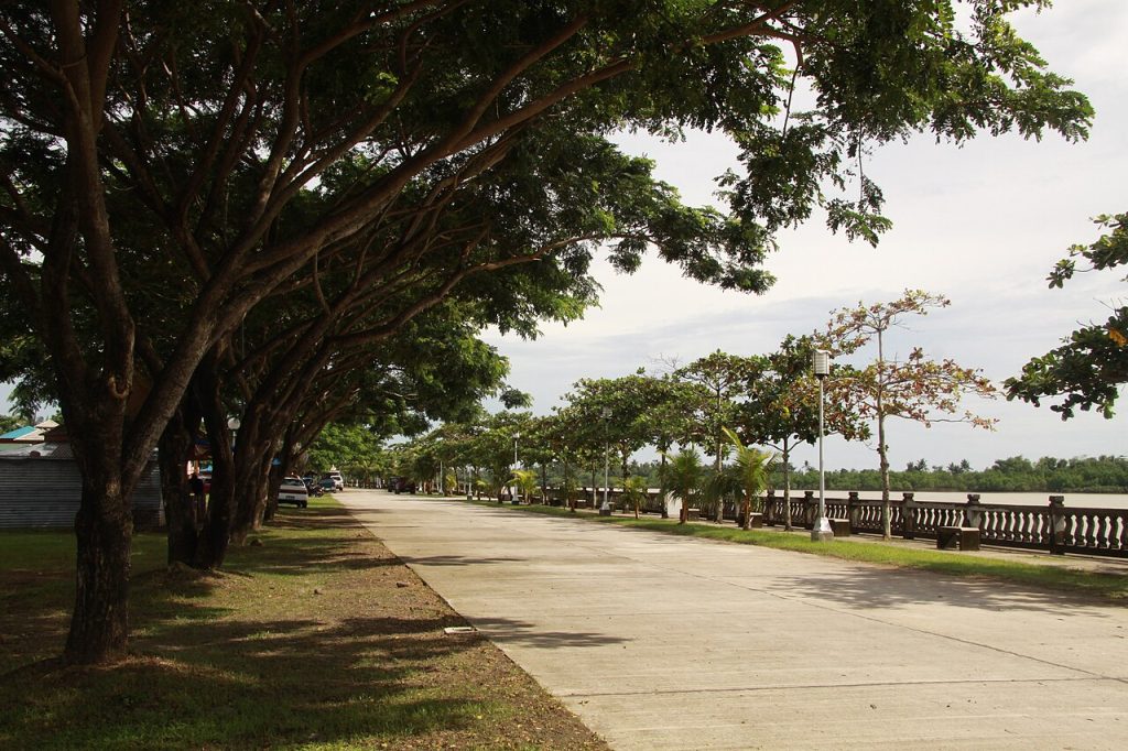 Binary geothermal power plant in Bago, Philippines expecting completion by end of 2026