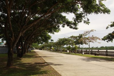 Binary geothermal power plant in Bago, Philippines expecting completion by end of 2026