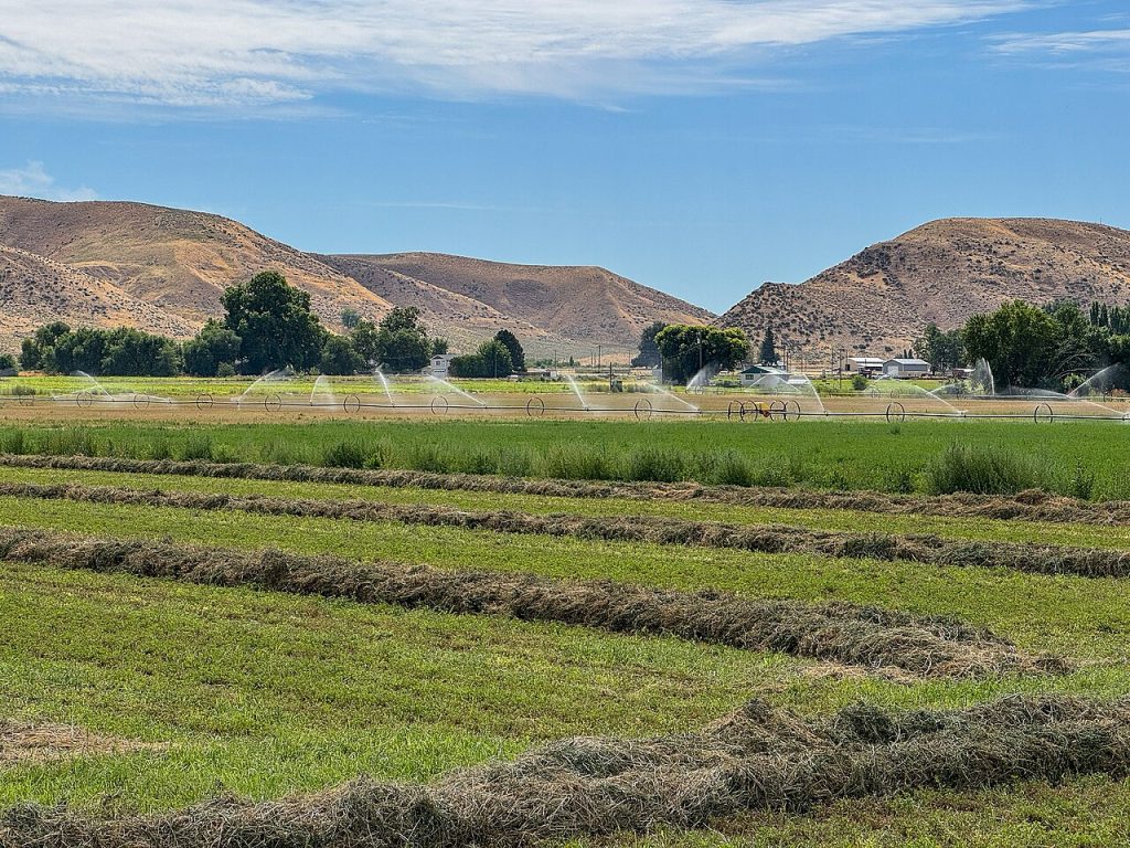 BLM seeking input on November 2026 Idaho geothermal lease sale