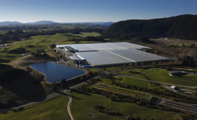 Free online tool helps glasshouse growers in New Zealand transition to geothermal