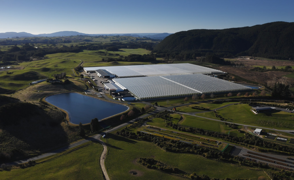Free online tool helps glasshouse growers in New Zealand transition to geothermal