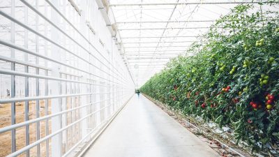 Yeager Energy expands geothermal business in Netherlands with third acquisition